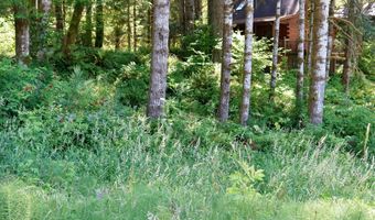 9965 BEACH Dr, Birkenfeld, OR 97016