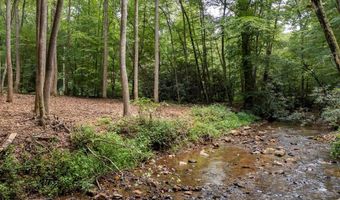 1034 Chestnut Flats Rd, Andrews, NC 28901