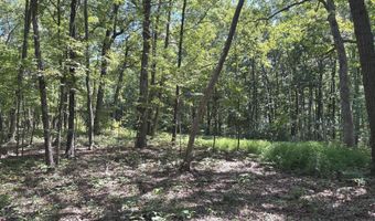 5 05 AC HOY Rd, Augusta, WV 26704