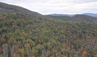 0 N Forks Rd, Amherst, VA 24521