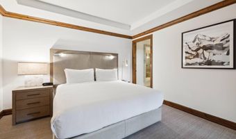 415 E Dean St Unit 38 Week 33, Aspen, CO 81611