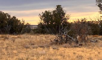 County Road 91.9, Aguilar, CO 81020
