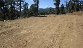 Taos Drive lot 208, Angel Fire, NM 87710