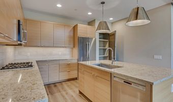 217 Overlook Rdg, Basalt, CO 81621