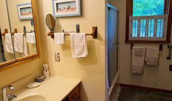 6955 Cedar Rd, Alanson, MI 49706