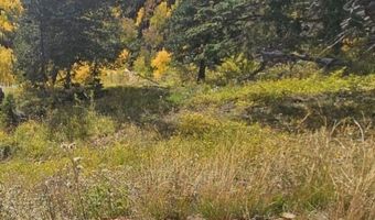 W Kokopelli Loop, Brian Head, UT 84719