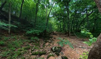 County Road 200, Alton, MO 65606