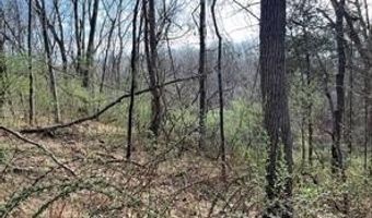 SHANKTOWN Road lot 10, Big Pool, MD 21711