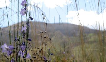 nhn Ranger Way lot Bvr 942-3, Belfry, MT 59008