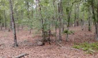 Double Pond Road, Blackville, SC 29817