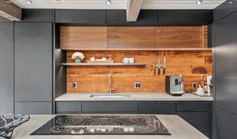 1024 E Cooper Ave 1, Aspen, CO 81611