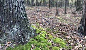 BIG HORN Trail, Augusta, WV 26704