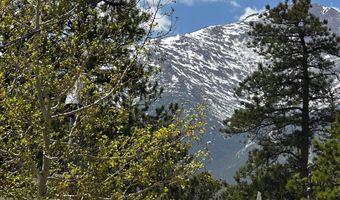 747 Coyote Hill Rd, Allenspark, CO 80510