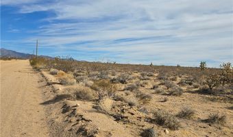 320 Acres W Brittlebush Dr, Yucca, AZ 86438