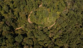 0 Nick Creek Rd, Bernice, LA 71222