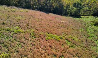 3850 Private Drive 3220, Ava, MO 65608