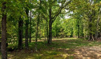 270 Dry Bone Rd, Ash Flat, AR 72513