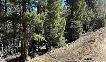 Santo Domingo Trl lot 716, Angel Fire, NM 87710
