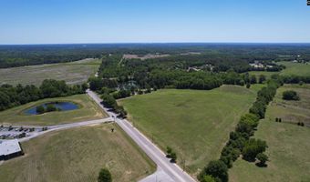 Shealy Road lot 2, Batesburg, SC 29006
