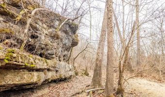 County Road 19-A, Alton, MO 65606