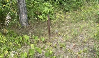 V/L 108th Avenue, Allegan, MI 49010