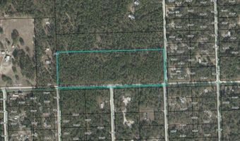 65 Th St, Bell, FL 32619