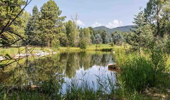 271 Pinestone Dr, Bayfield, CO 81122