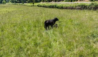 1106 Upper Cow Creek Rd, Azalea, OR 97410