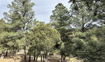 111 Whispering Pines Way 2, Alto, NM 88312
