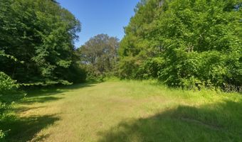 NW 218TH LANE, Alachua, FL 32615