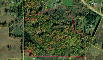 8484 N Rollin Hwy, Addison, MI 49220