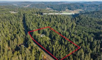 54177 Morrison Rd, Bandon, OR 97411