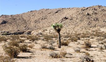 20999 Bella Vista Dr, El Mirage, CA 92301