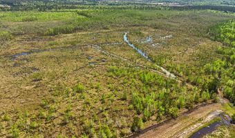 TBD Alligator Road, Bamberg, SC 29843