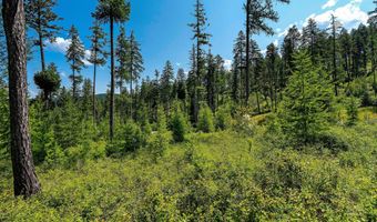 205 Trading Post Trl, Bigfork, MT 59911