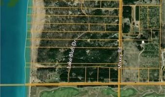 Maxey Road unit 7.2 Acres 7.2 Acres, Arcadia, MI 49613
