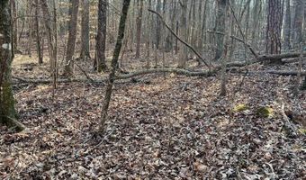 SPRINGHOLLOW ROAD lot 11, Ashville, AL 35953