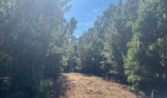 1300 Red Oak Rd, Barnwell, SC 29812