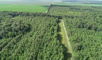 6075 Curtis Rd, Batesville, MS 38606