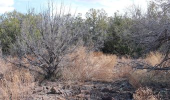 5079 N Pineveta Rd, Ash Fork, AZ 86320