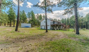 41 Susan Ln, Angel Fire, NM 87710