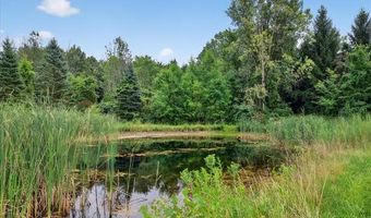 5061 Sandhill Rd, Almont, MI 48003