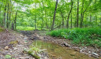 1 Camino Rd, Hot Springs Village, AR 71909