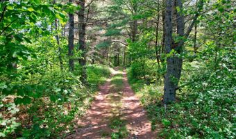 M19 L8 Church Farm Road, Beddington, ME 04622