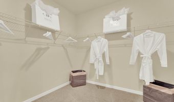 5226 Scrub Mint Ln, Apopka, FL 32712