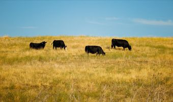 3127 US HWY 95, Cambridge, ID 83610