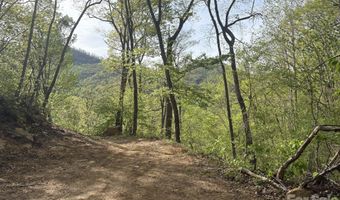 999999 Harwood Rd, Barnardsville, NC 28709