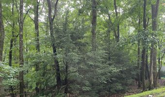 311 Woodland Road & Deerfoot Ln, Albrightsville, PA 18210