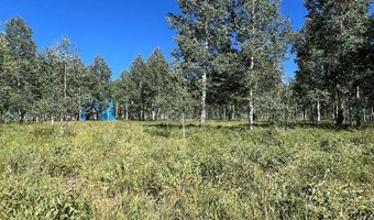 4581 Carol Ave, Cedar City, UT 84720