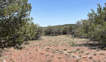 61 Colt Ct Se4 Rd, Ash Fork, AZ 86320